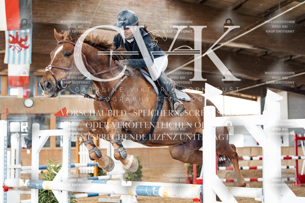 CK906183 | Turnierfotografie Pferdefotografie Trier Rheinland-Pfalz Pferdesport Reitsport Tierfotografie Sportfotografie Pferdevideo Pferdevideografie Equestrianvideography equestrianphotography  - Realisiert mit Pictrs.com