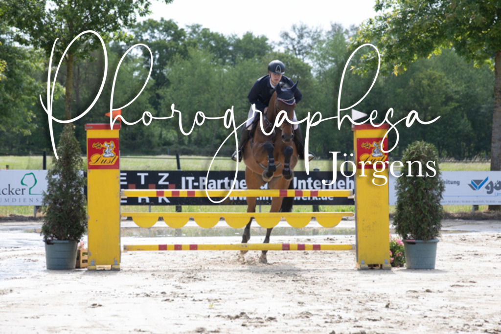 IMG_4028 | photographesa-joergens - Realisiert mit Pictrs.com