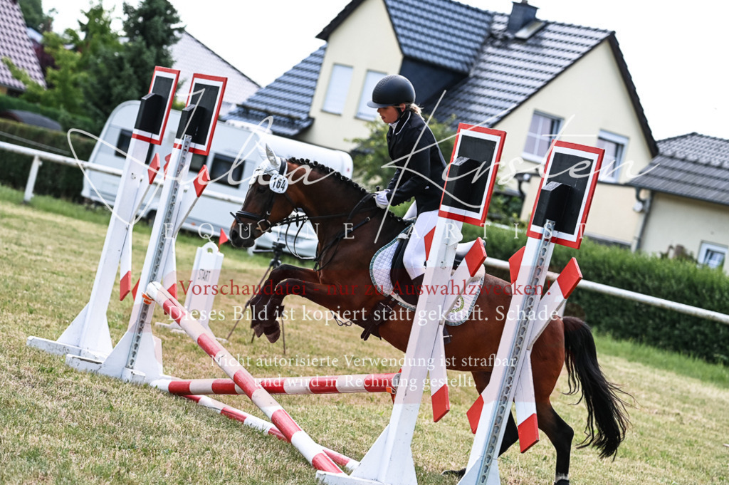 DSC_9784 | Pferde- und Turnierfotografie in Westsachsen. Pferdeportraits, Auftragszeichnungen und intuitive Kunst.