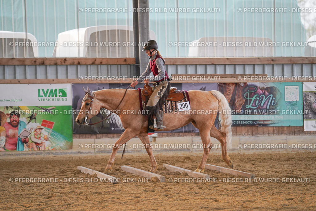 DSC08930 | Pferdegrafie