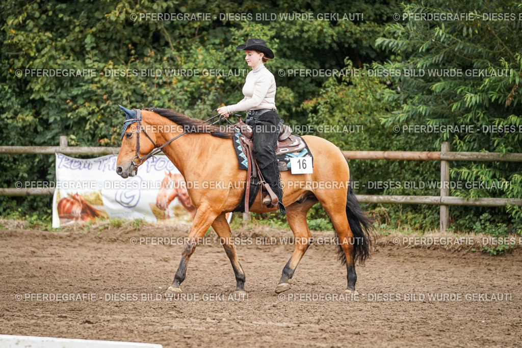 DSC04458 | Pferdegrafie