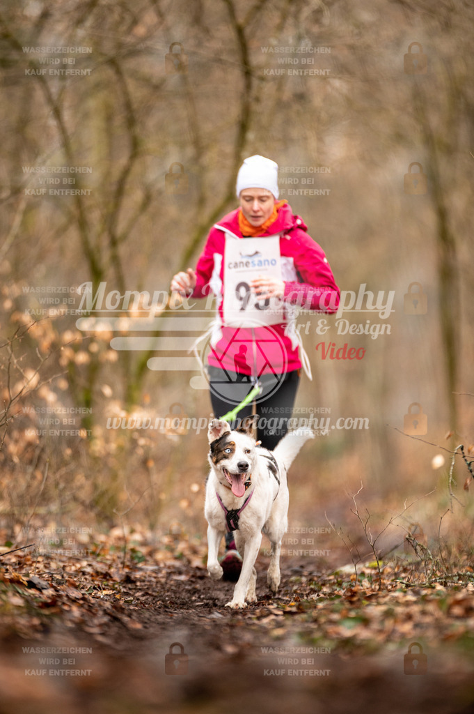 Reiat2023_SON_CaniXRun_8km_W-15 | PayLife