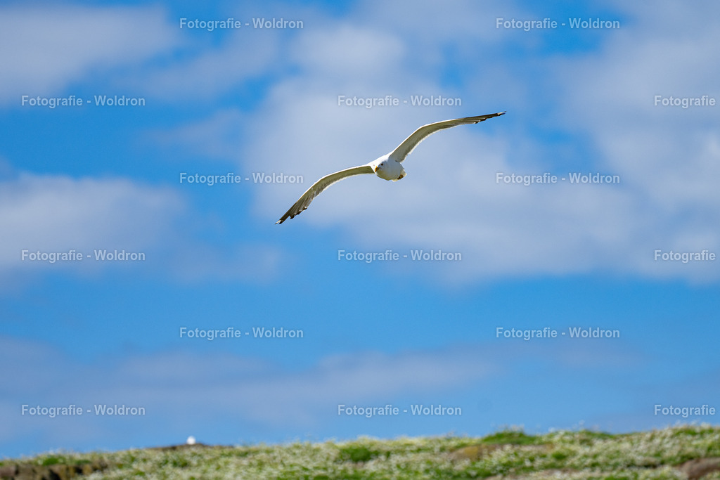 20230815 Isle of Sky - St.Andrews - Dundee-123 | Fotografie Woldron