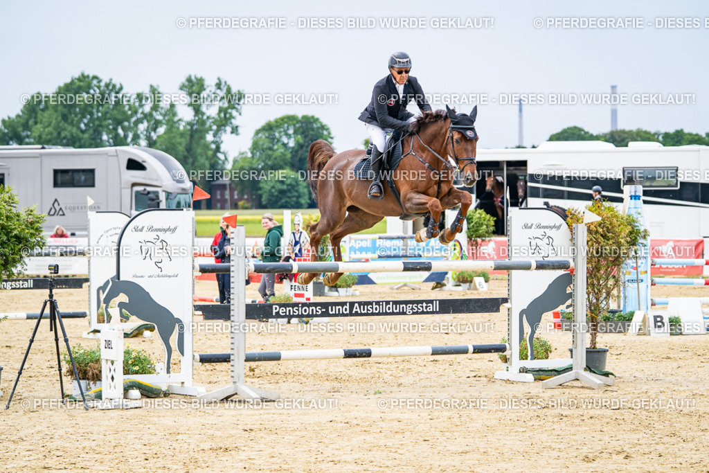 DSC06771 | Pferdegrafie