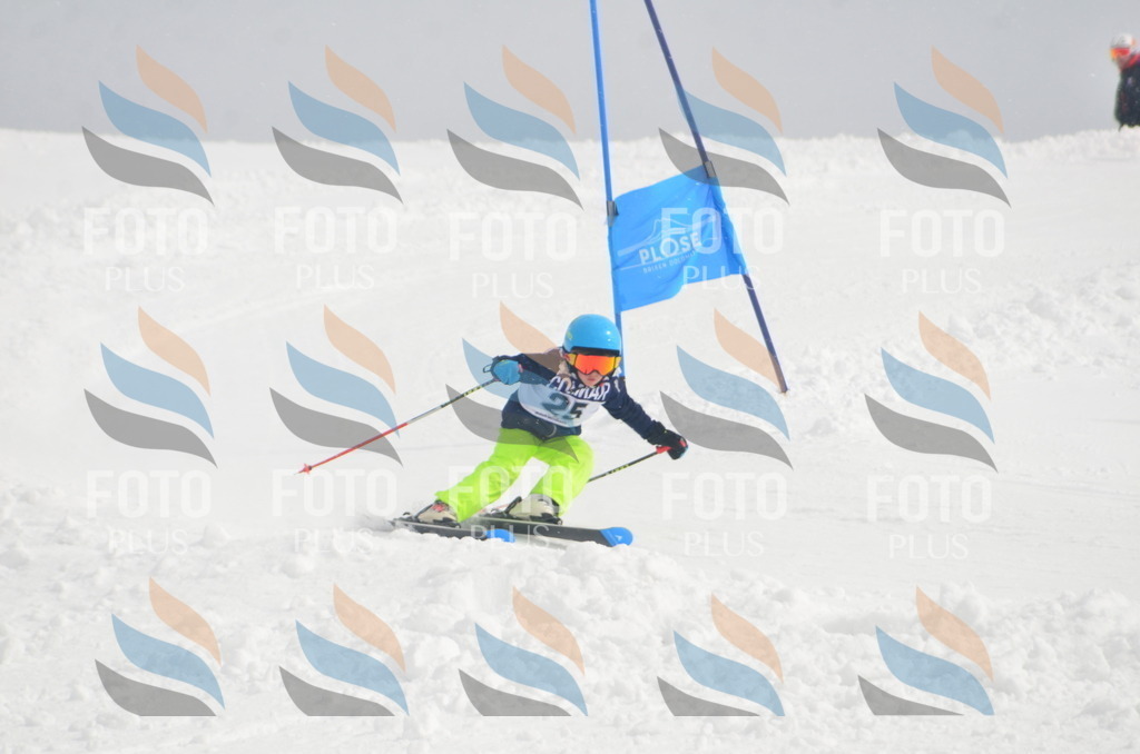 A5203 | holidayphoto