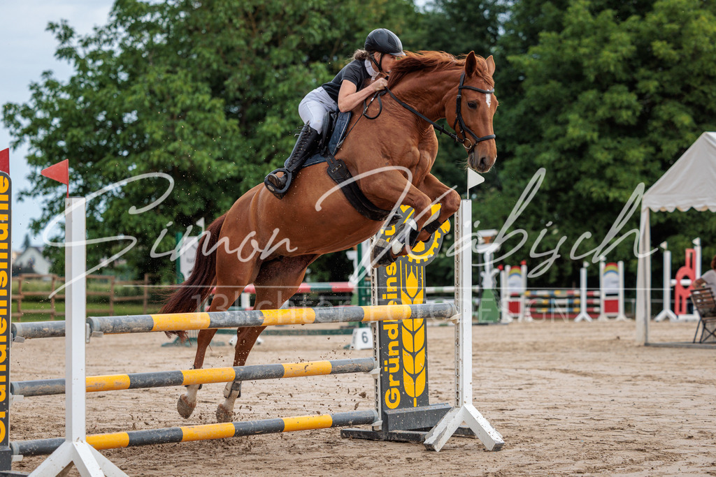 20260531-_3LI3218 | Tierfotografie Pferde, Hunde, Katzen, Haustiere.
Turnierfotografie Reitturniere, Reiten, Springreiten, Dressur in Hanau, dem Main-Kinzig-Kreis und dem Rhein-Main- Gebiet um Frankfurt