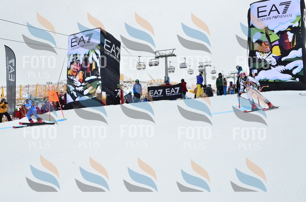 _ELE3187 | holidayphoto