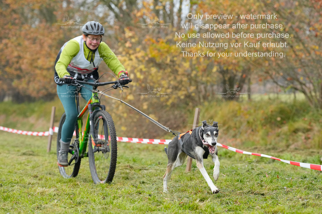 Visbeck_Sa_Bike-233 | stephaniefillaphotographie - Realisiert mit Pictrs.com