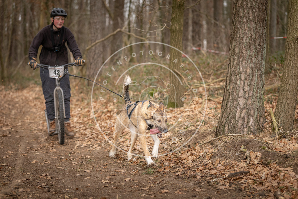 Pfotenfotografie_DV3A0886 | Hundefotografie, Tierfotograf, Pfotenfotografie, Fotoshooting Hund, Hunde Portrait, Hundesport, Hundeportraits, Heideshooting, Hunde, Sportfotograf, Hundefotograf, Turnierhundsport, THS,  - Realisiert mit Pictrs.com