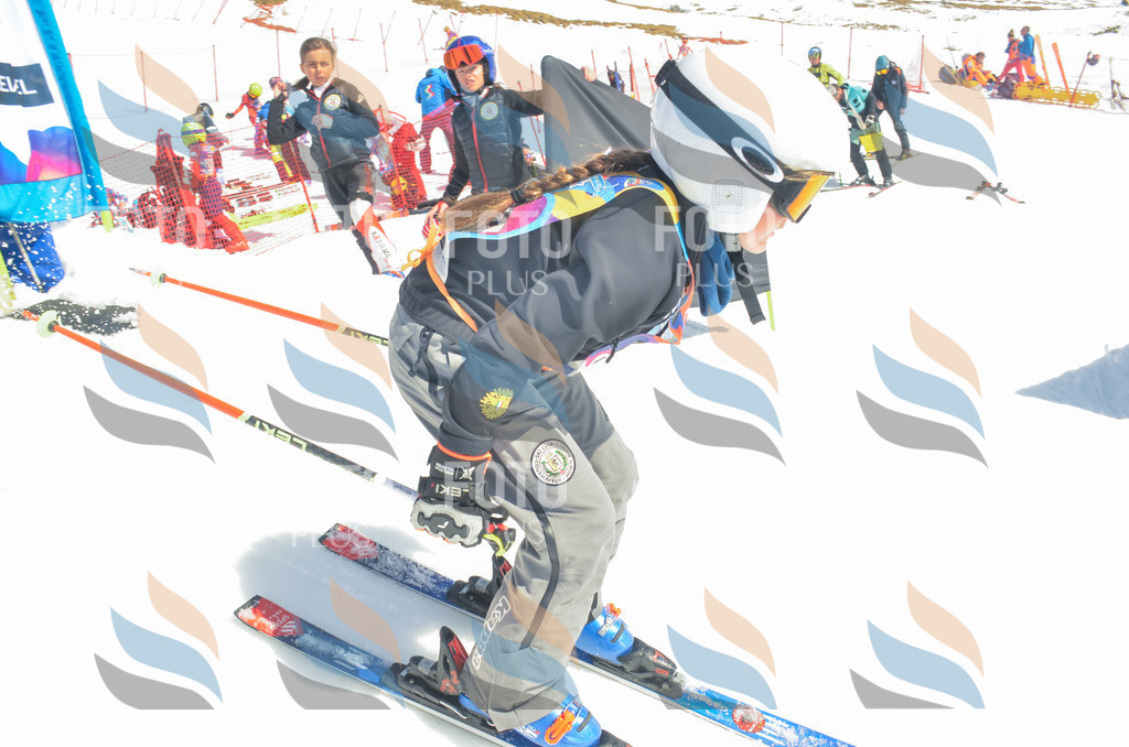 _ELE6330 | holidayphoto