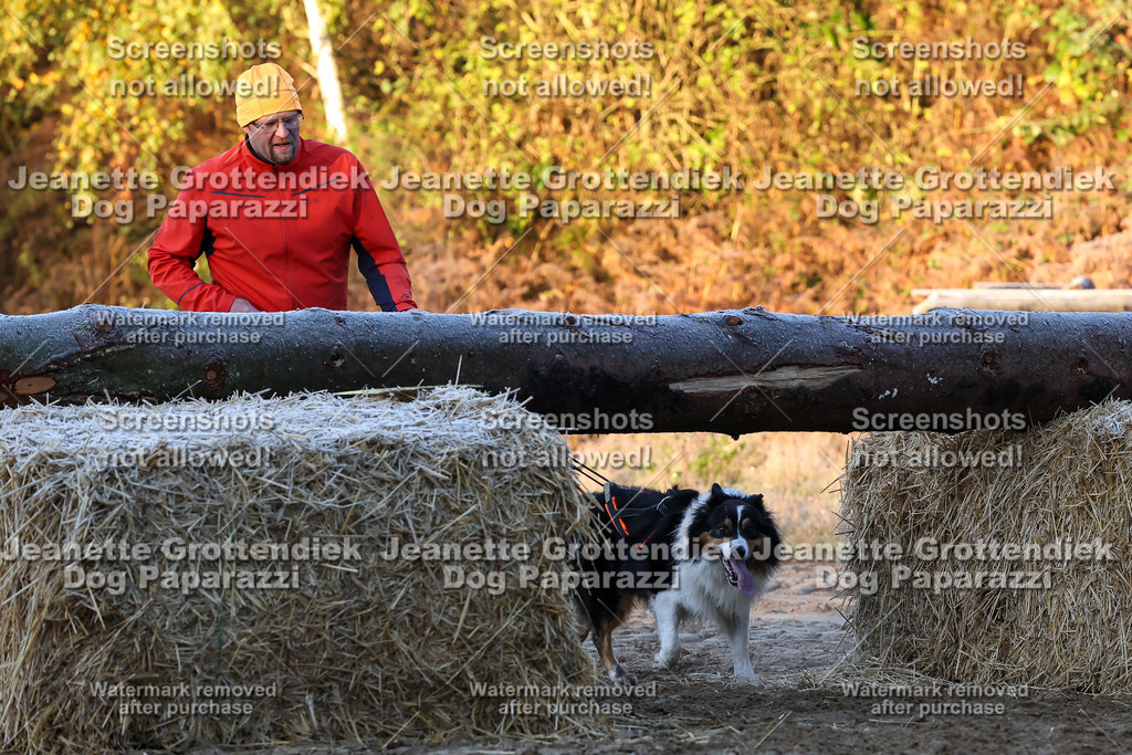 Dog Paparazzi - Strongdog 10-25-428 | Dog Paparazzi Jeanette Grottendiek Fotografie & Videografie - Realisiert mit Pictrs.com