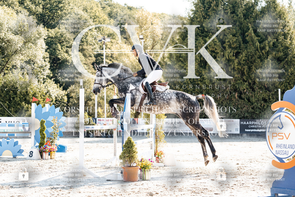 CK902116 | Turnierfotografie Pferdefotografie Trier Rheinland-Pfalz Pferdesport Reitsport Tierfotografie Sportfotografie Pferdevideo Pferdevideografie Equestrianvideography equestrianphotography  - Realisiert mit Pictrs.com
