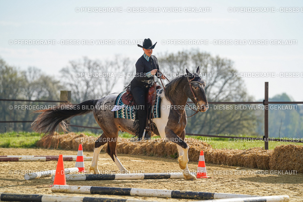 DSC01101 | Pferdegrafie