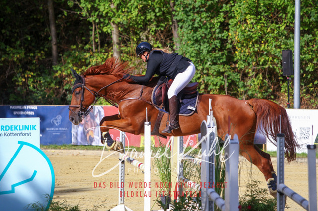DKP42420 | Deine Turnierfotos vom Reitturnier online kaufen: Dressur, Springen & Siegerehrung. Professionelle Pferdefotografie aus dem Rheinland – als Download & Print.Alternative: Turnierfotograf für den Pferdesport: Finde deine Fotos von Dressur- und Springturnier