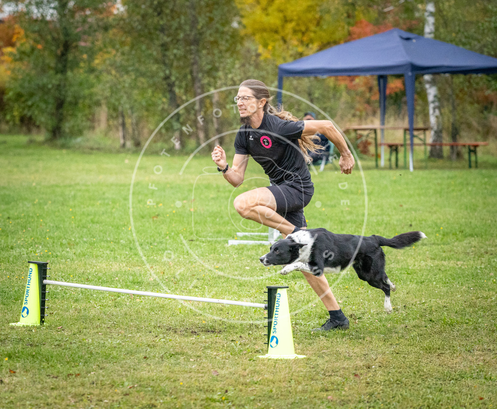 Pfotenfotografie_DV3A1262 | Hundefotografie, Tierfotograf, Pfotenfotografie, Fotoshooting Hund, Hunde Portrait, Hundesport, Hundeportraits, Heideshooting, Hunde, Sportfotograf, Hundefotograf, Turnierhundsport, THS,  - Realisiert mit Pictrs.com