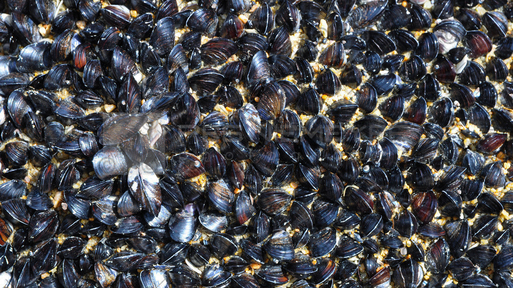 DSC_4062 | Res Niemeyer Photography - Realisiert mit Pictrs.com