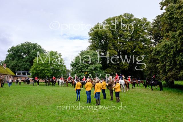 Jagd Perdoel 26 Fuji-9748_MarinaHewig | Fotografie, FotoArt, PferdesportArt, Pferdesportfotografie, Landschaftsfotografie, Reisefotografie, Reise, Pferde - Realisiert mit Pictrs.com