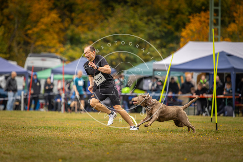 Pfotenfotografie_DV3A2298 | Hundefotografie, Tierfotograf, Pfotenfotografie, Fotoshooting Hund, Hunde Portrait, Hundesport, Hundeportraits, Heideshooting, Hunde, Sportfotograf, Hundefotograf, Turnierhundsport, THS,  - Realisiert mit Pictrs.com