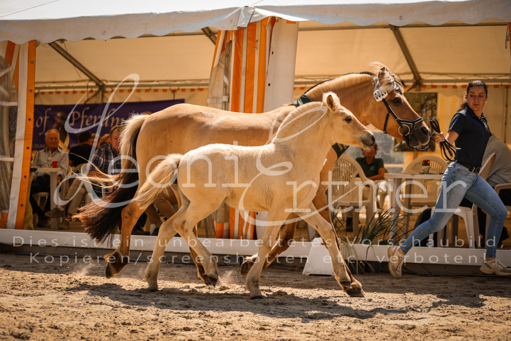 05.DoF00118 | Leoni Ertmer Photography - Realisiert mit Pictrs.com