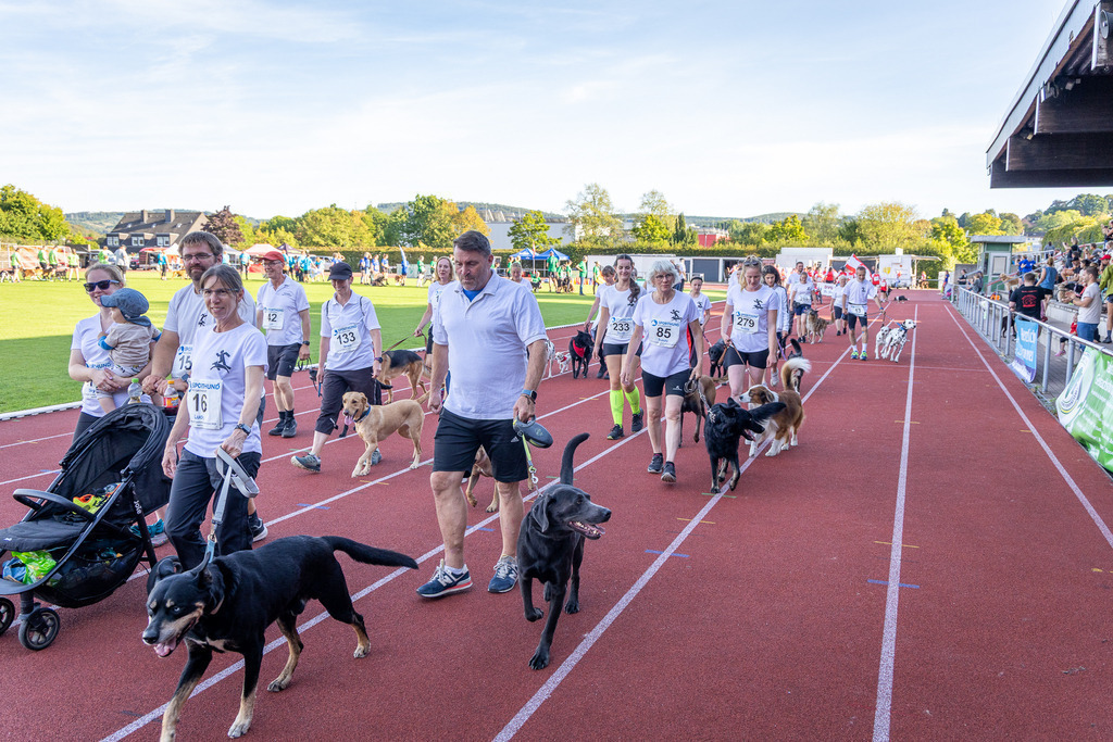 Pfotenfotografie_DV3A4300-2 | Hundefotografie, Tierfotograf, Pfotenfotografie, Fotoshooting Hund, Hunde Portrait, Hundesport, Hundeportraits, Heideshooting, Hunde, Sportfotograf, Hundefotograf, Turnierhundsport, THS,  - Realisiert mit Pictrs.com