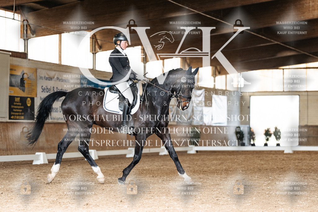 CK901832 | Turnierfotografie Pferdefotografie Trier Rheinland-Pfalz Pferdesport Reitsport Tierfotografie Sportfotografie Pferdevideo Pferdevideografie Equestrianvideography equestrianphotography  - Realisiert mit Pictrs.com