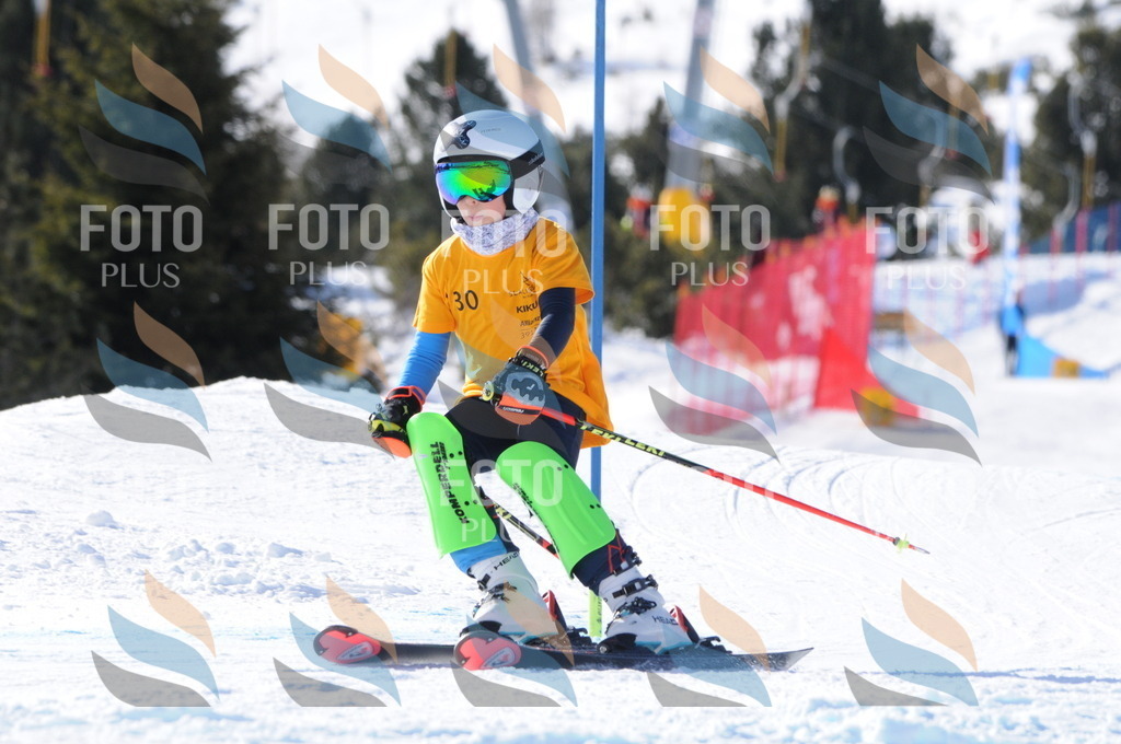 C7212 | holidayphoto