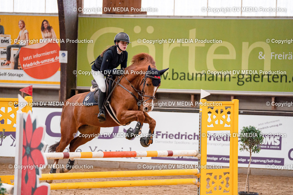 Kranichstein Tag 3-582 | dv-media-shop - Realisiert mit Pictrs.com