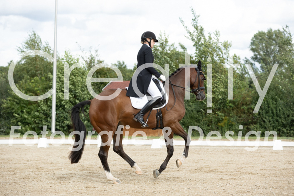 IMG_6602 | Creatify Fotografie