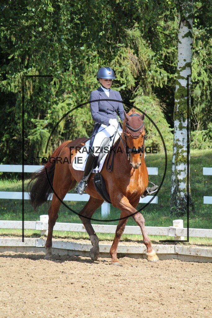 IMG_7068 | franziskalange - Realisiert mit Pictrs.com