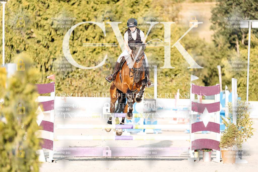 CK900824 | Turnierfotografie Pferdefotografie Trier Rheinland-Pfalz Pferdesport Reitsport Tierfotografie Sportfotografie Pferdevideo Pferdevideografie Equestrianvideography equestrianphotography  - Realisiert mit Pictrs.com