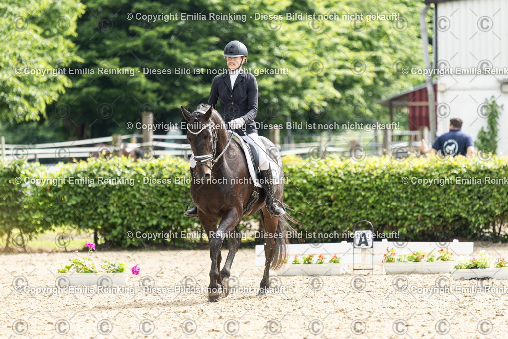 CL5A5921 | Emilia Reinking Fotografie - Realisiert mit Pictrs.com