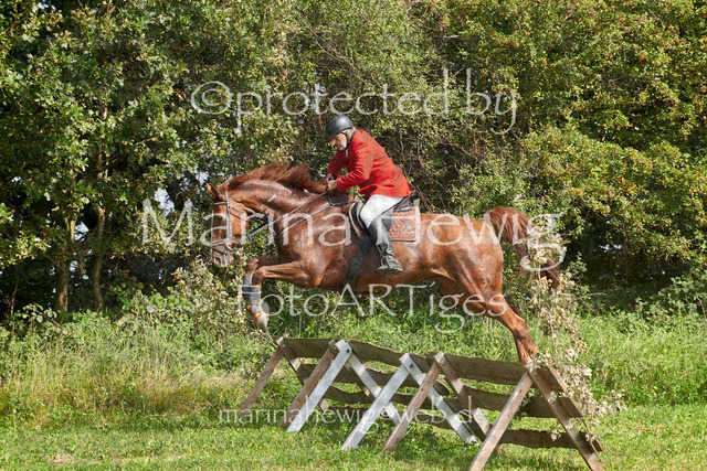 09-23 Jagd Perdöl_MCH0224_Marina Hewig | Fotografie, FotoArt, PferdesportArt, Pferdesportfotografie, Landschaftsfotografie, Reisefotografie, Reise, Pferde - Realisiert mit Pictrs.com