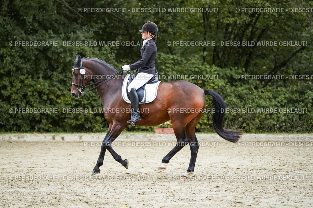 DSC00587 | Pferdegrafie