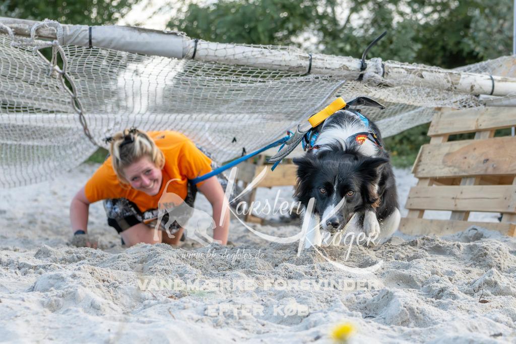 1620_ZZ97046 | kk-dogfotos