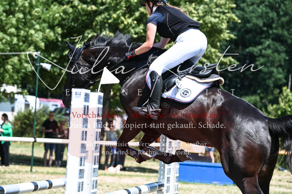 DSC_0497 | Pferde- und Turnierfotografie in Westsachsen. Pferdeportraits, Auftragszeichnungen und intuitive Kunst.