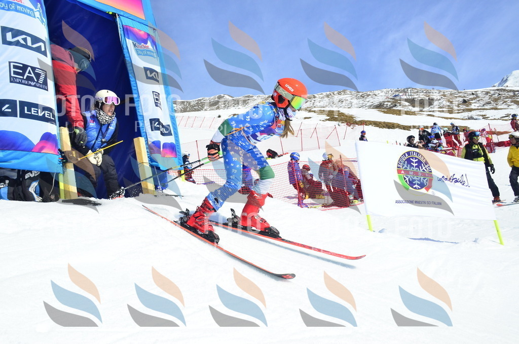 _ELE0984 | holidayphoto