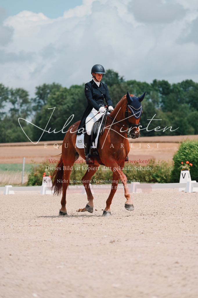 DSC_4203 | Pferde- und Turnierfotografie in Westsachsen. Pferdeportraits, Auftragszeichnungen und intuitive Kunst.