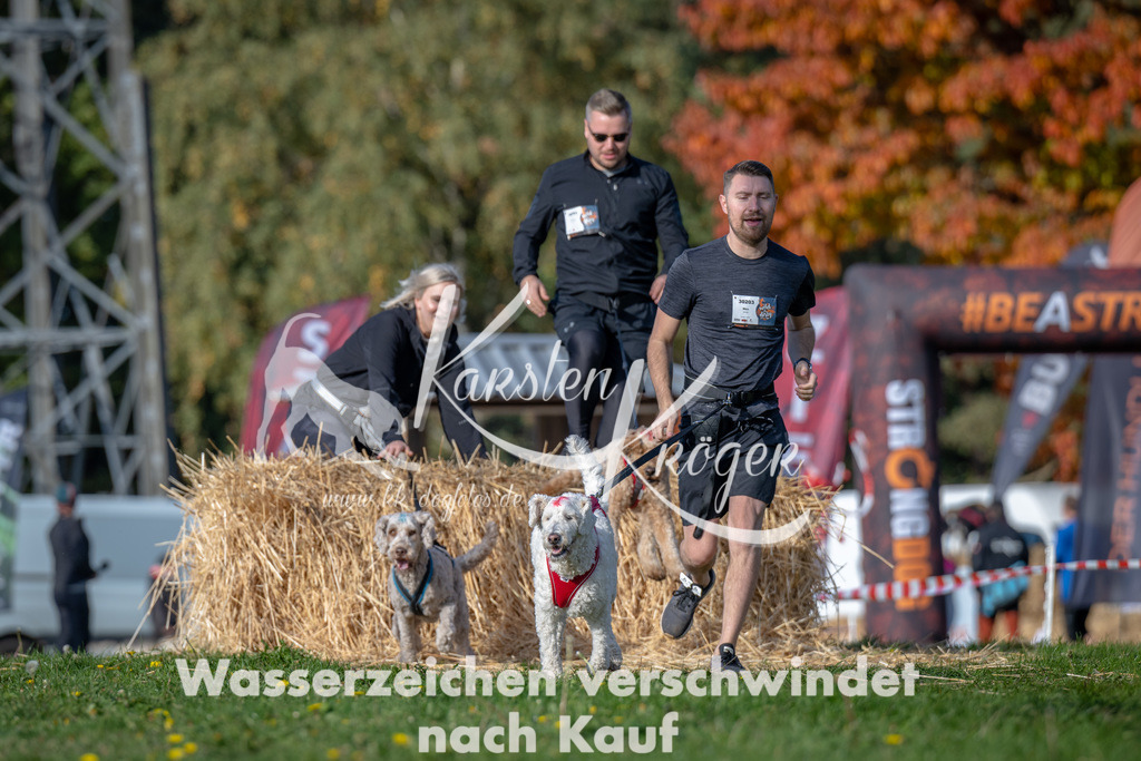 1033_ZZ90975 | kk-dogfotos