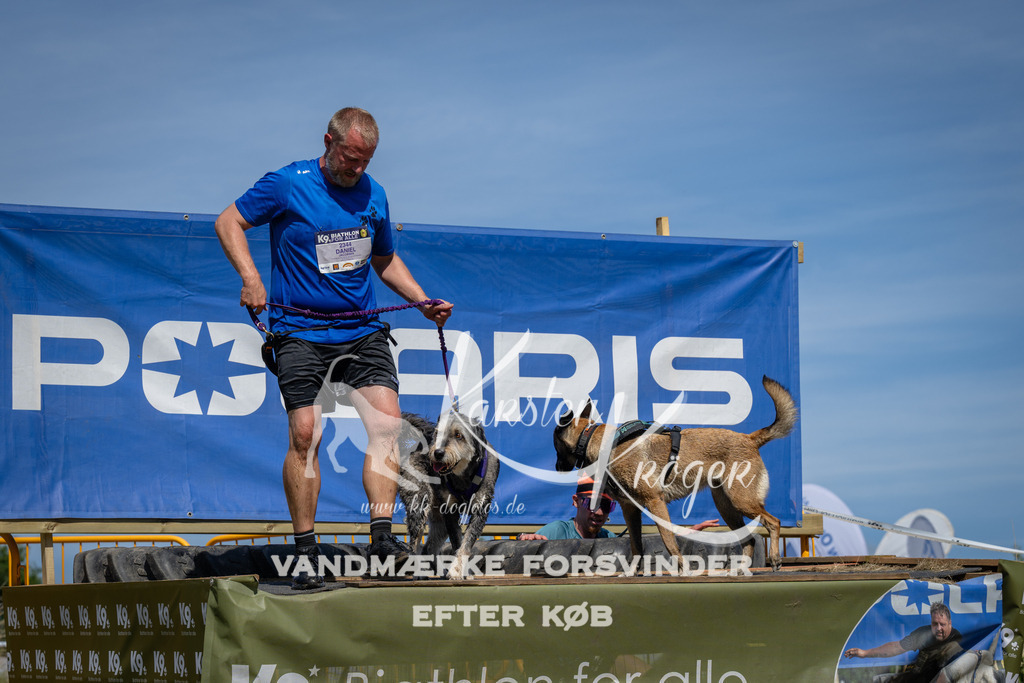 1353_ZZ99541 | kk-dogfotos