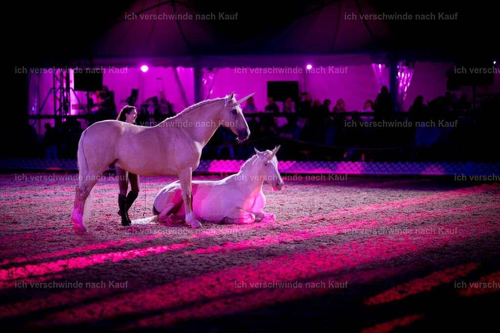 Gala-428 | working equitationturnier fotograf videograf stoibphotography marixx film working equitation deutschland reitsport turnierfotografie eventfotografie equestrian events