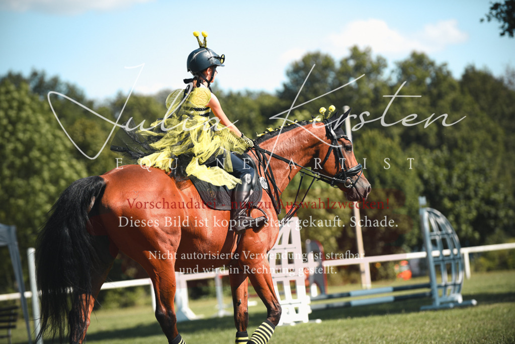 DSC_7505 | Pferde- und Turnierfotografie in Westsachsen. Pferdeportraits, Auftragszeichnungen und intuitive Kunst.