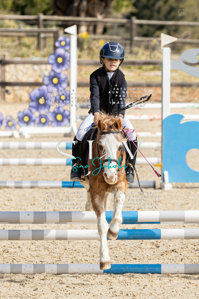 IMG_4295 | s-jay-photography - Realisiert mit Pictrs.com