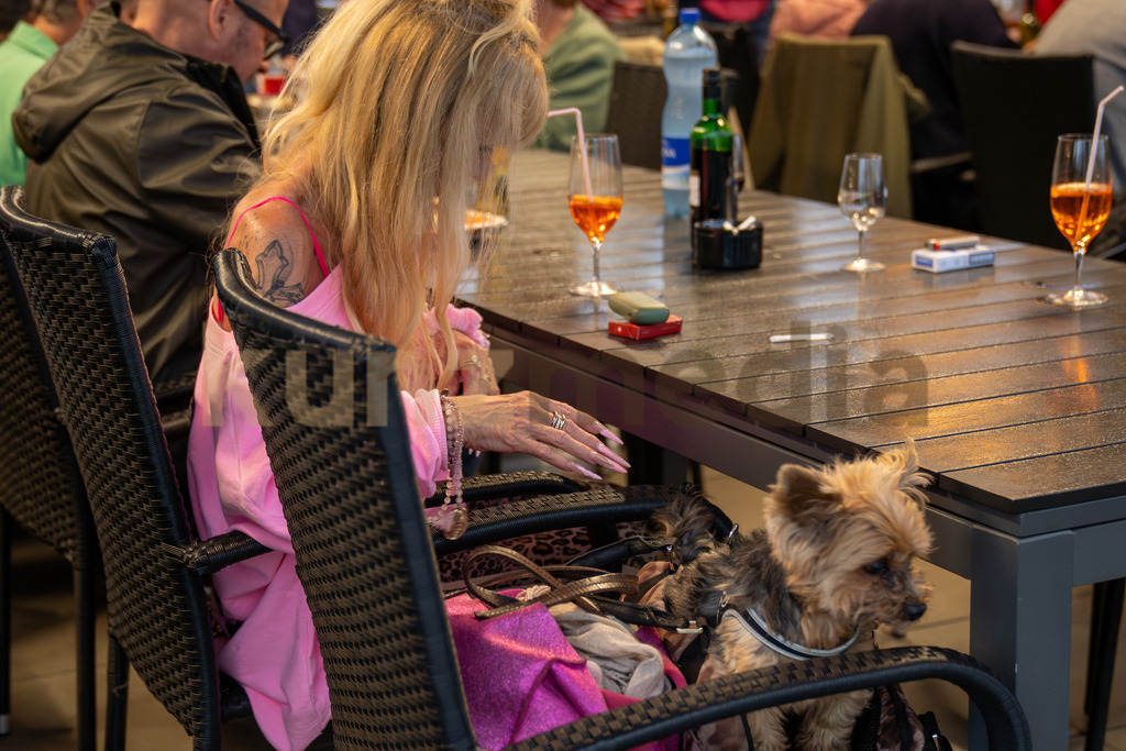 kunzmedia.ch | kunzmedia.ch