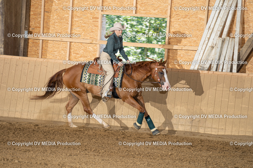 DSC00073 | dv-media-shop - Realisiert mit Pictrs.com