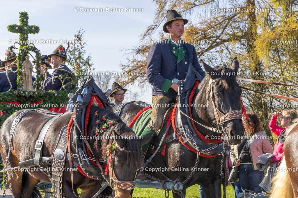 LBT24-1506 | foto-bettina-krinner - Realisiert mit Pictrs.com