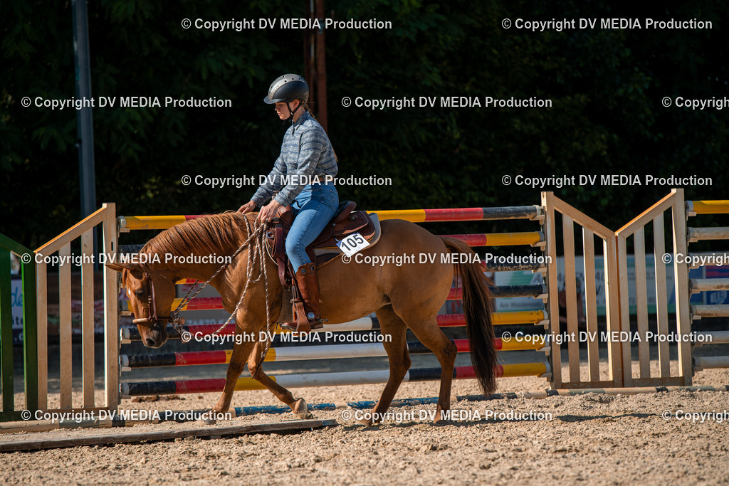 EWP_6970 | dv-media-shop - Realisiert mit Pictrs.com