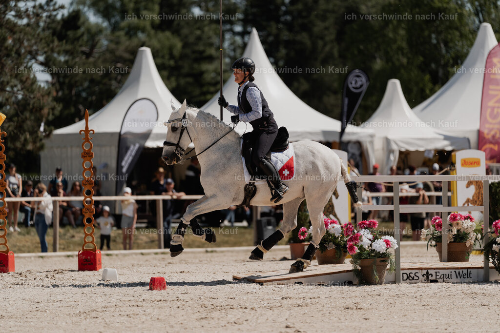 _DSC5527 | Pferd International München 2025