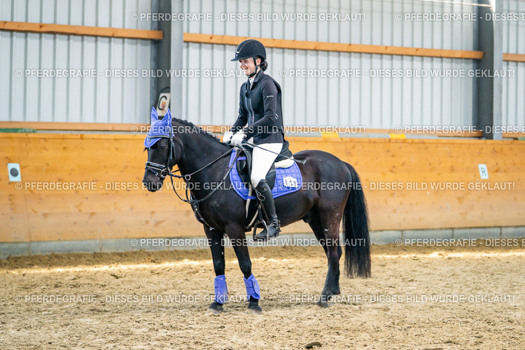 DSC01250 | Pferdegrafie