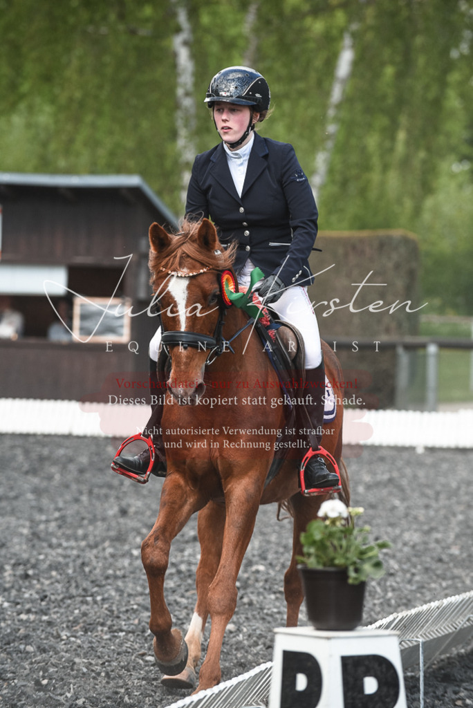 DSC_9105 | Pferde- und Turnierfotografie in Westsachsen. Pferdeportraits, Auftragszeichnungen und intuitive Kunst.