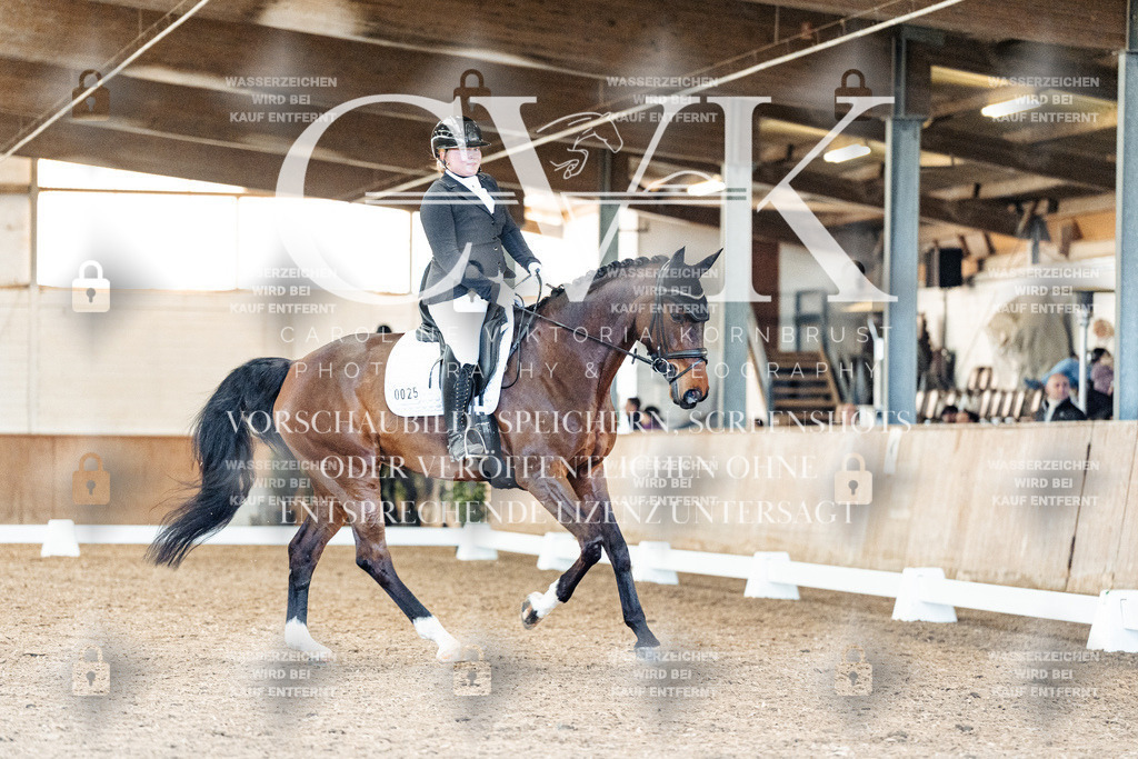 CK909429 | Turnierfotografie Pferdefotografie Trier Rheinland-Pfalz Pferdesport Reitsport Tierfotografie Sportfotografie Pferdevideo Pferdevideografie Equestrianvideography equestrianphotography  - Realisiert mit Pictrs.com